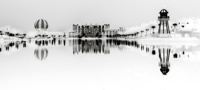 110 - REFLECTION - VAN DER LOO ANGELIQUE M.G. - netherlands.jpg